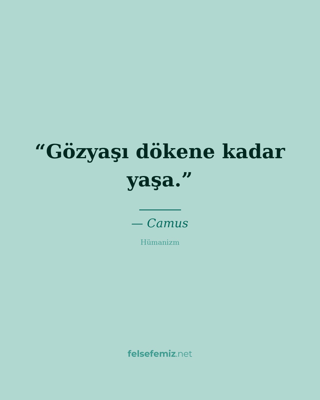Gözyaşı dökene kadar yaşa. — Camus